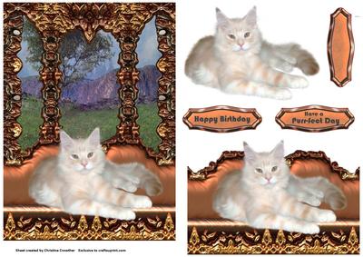 On My Window Seat - Pretty Cat