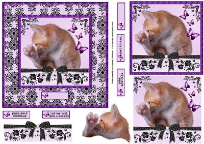 Secret Cat Pyramage for Purr-fect Birthday or Any Occasion