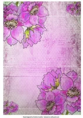 Anemones on Pink Vintage Background