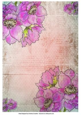 Anemones on Peach Vintage Background