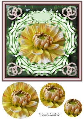 Chrysanthemum Any Occasion Card