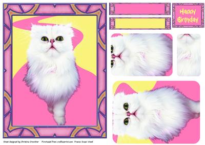 White Persian Cat on Pink and Yellow Framed Background