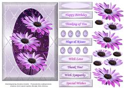 Purple Osteo Daisies Pyramage in Diamond Frame