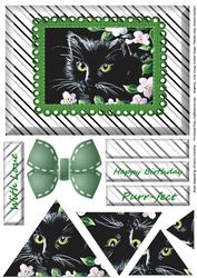 Black Kitten Triangle Pyramid