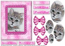 Tabby Cat in the Pink Oval Pyramid