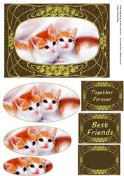 Best Friends Kittens Together Forever