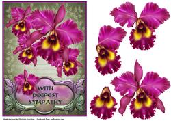 With Deepest Sympathy Pink Orchid