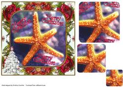 Christmas Star Fish! Rounded Square Pyramid