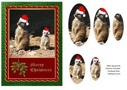 Meerkats Merry Christmas with Double Oval Pyramid