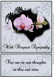 Beautiful Orchids with Deepest Sympathy in Our Thoughts