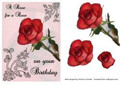 A Rose for a Rose on Your Birthday Step by Step