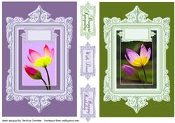 Framed Sunlit Tulips - Birthday, with Love, Deepest Sympathy
