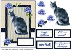 Platinum Highlights, Not Grey Hairs, Funny Cat Card