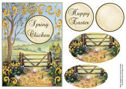 Spring Chicken Birthday or Easter Card
