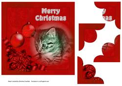 Christmas Kitten in Red
