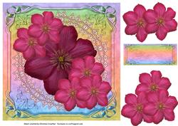 Burgundy and Pink Clematis Delight for Any Occasion