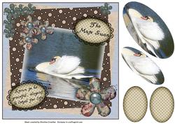 Mute Swan - Strive to Be Graceful Elegant and Loyal