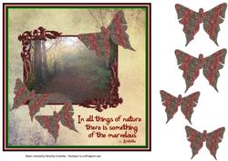 In All Things of Nature There is Something of the Marvelous
