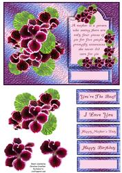 Mother Definition with Pelargonium / Geranium