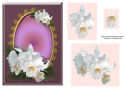Any Occasion White Orchids with Decoupage