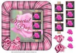 Special Day Pink Roses in Pink Frame