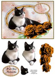 Black and White Cat with Gold Roses Purrfect Memories