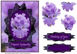 Bearded Iris Deepest Sympathy Thinking of You