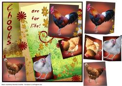 Chooks Are for Life! Collage - for Every Chicken Lover