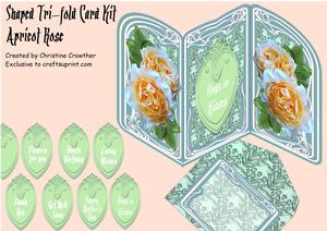 Apricot Rose Shaped Tri Fold Card Kit