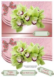 Green Orchids for Birthday Get Well or Sympathy