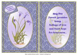 The Meaning of French Lavender - Quick Card with Insert