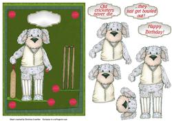 Old Cricketers Never Die - They Just Get Bowled Out!