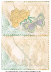 Golden Roses with Butterfly on Parchment - Insert