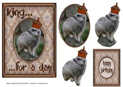 King for a Day Meerkat - Happy Birthday