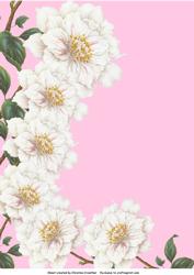 Camelia Backing Paper - Pink