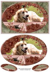 Golden Retriever in the Sun for Birthday/any Occasion