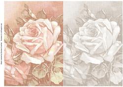 Antique Rose Large Hexagonal Gift Box Backing Paper