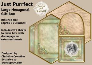 Just Purrfect Large Hexagonal Gift Box Mini Kit