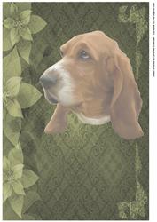 Basset on Floral Damask Background