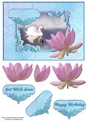 Swan and Waterlily Any Occasion Card