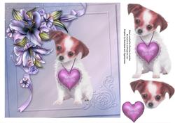 Never Leave Me Chihuahua
