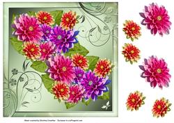 Dahlia Delight for Any Occasion