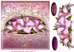 Pink Hibiscus Birthday Wishes