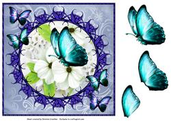 Blue Butterfly Framed White Flowers
