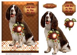 Still Life in the Old Dog - Spaniel