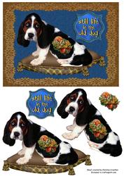 Still Life in the Old Dog - Basset Hound
