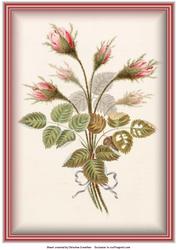 Vintage Floral Buds Background
