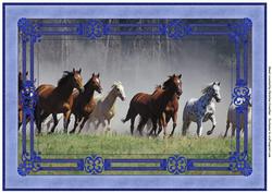 Wild Horses Framed Background