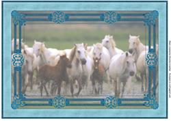 Wild Ponies Framed Vellum Background