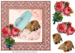 Puppy in Shabby Chic Box for Any Occasion
